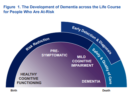 Tool - A Planning Guide For The Healthy Brain Initiative Road Map For ...