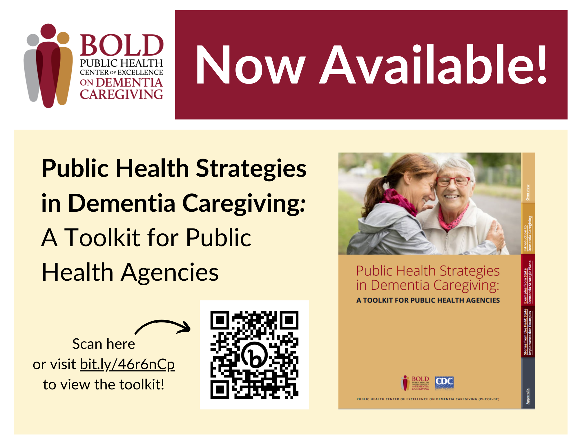 Dementia Care: Building Dementia-Friendly Communities Toolkit