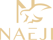 NAEJI-Logo-Top